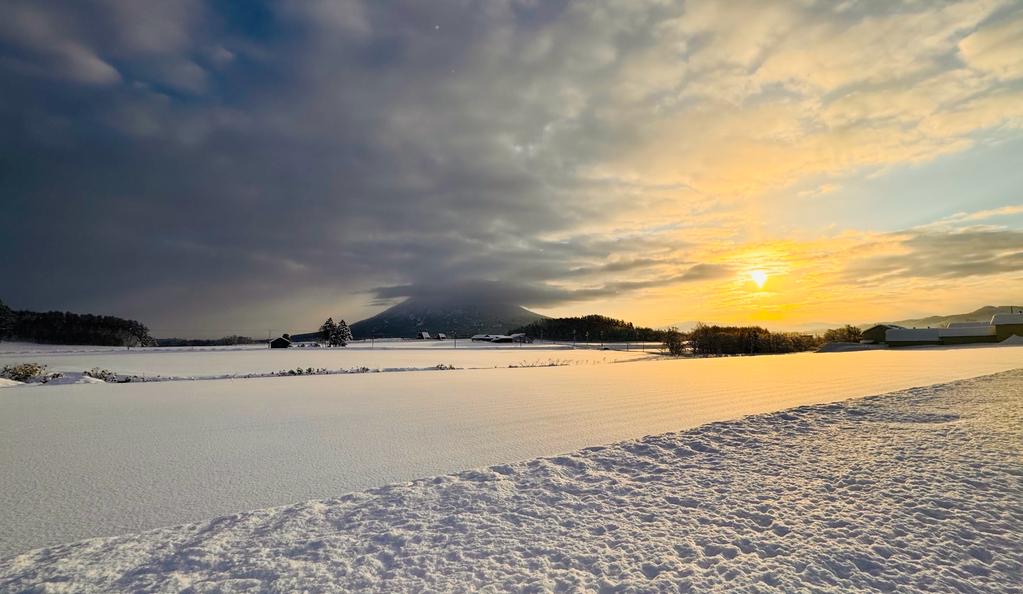 Reflections on Winter Travel